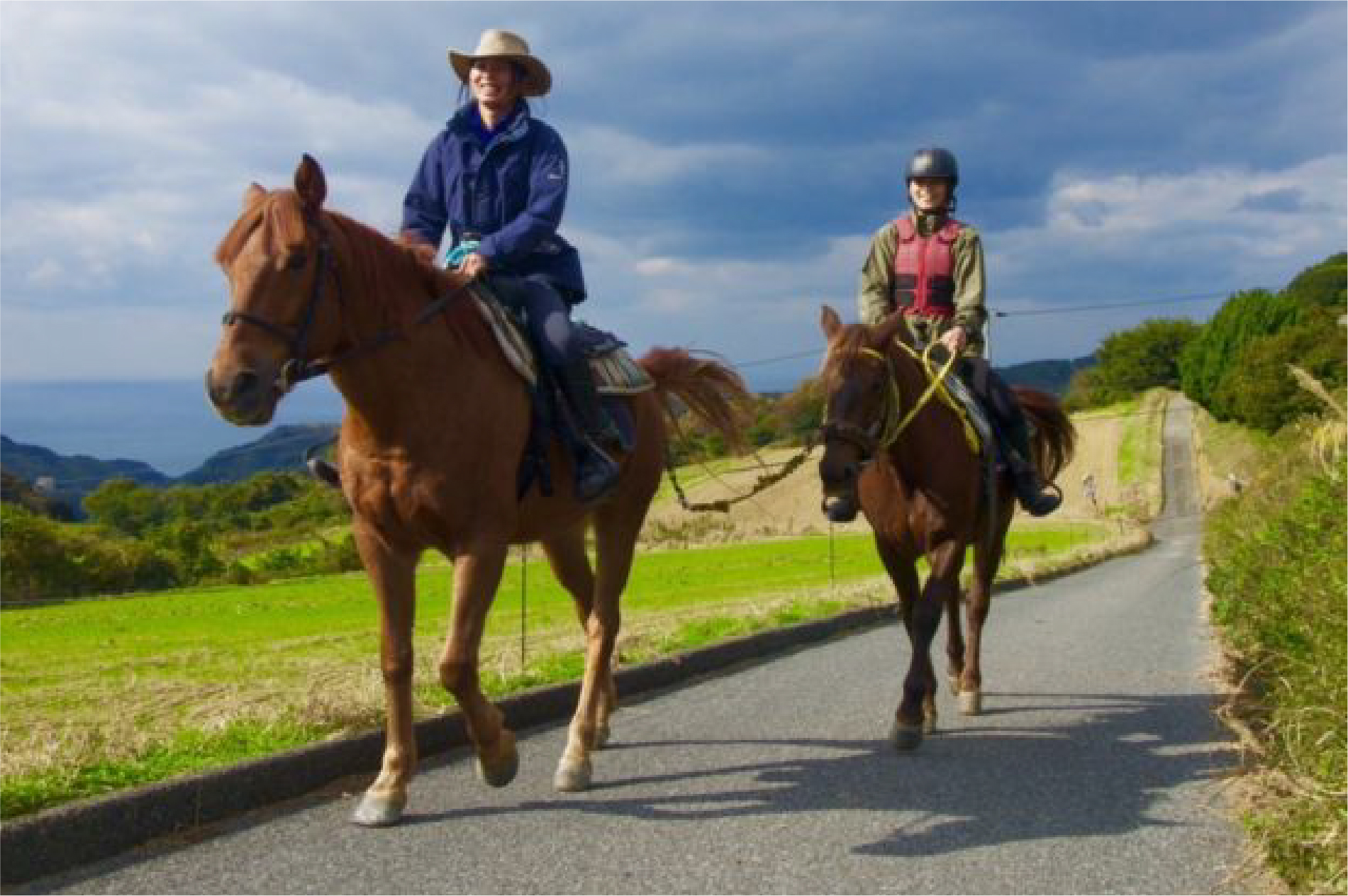 豊かな自然を馬と共に巡る癒しの島旅